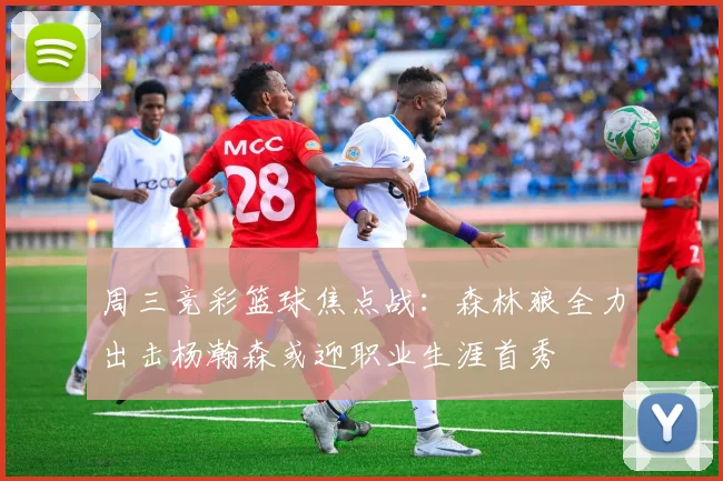周三竞彩篮球焦点战：森林狼全力出击杨瀚森或迎职业生涯首秀